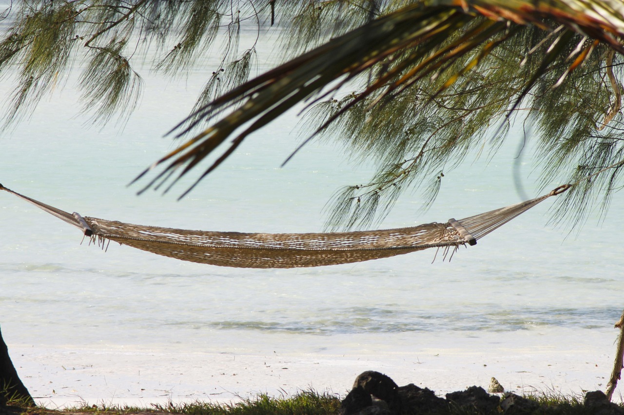 hammock-2676646_1280 (1)